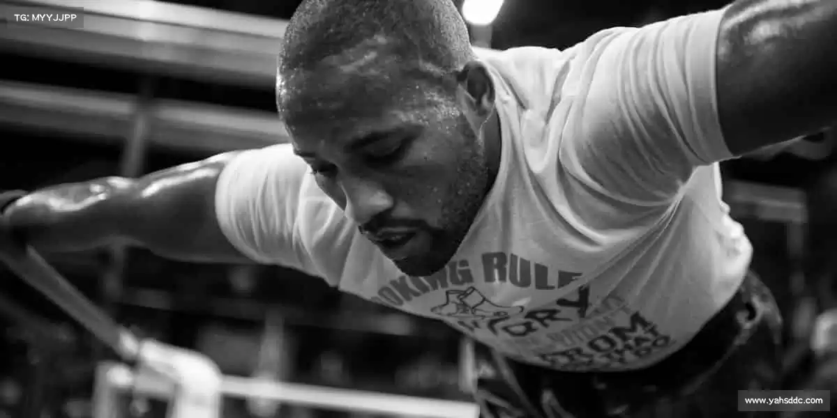 我们的品牌价值